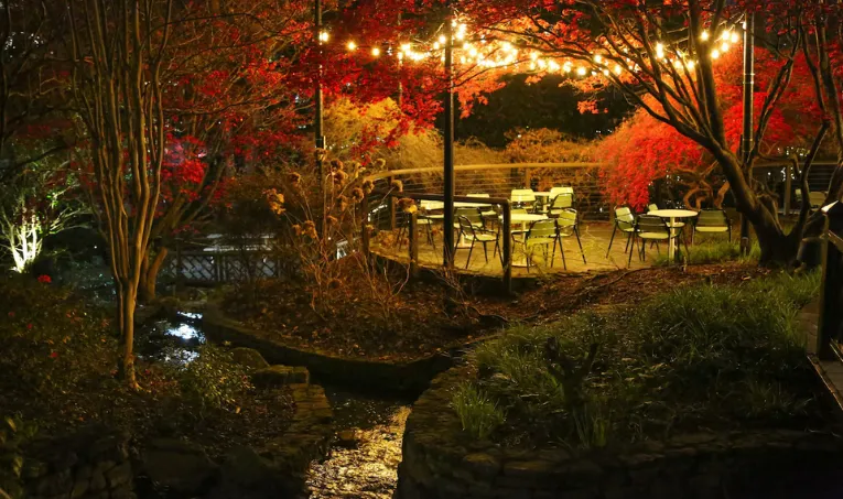 You’ll Love These Fall Travel Deals From Hotels.com